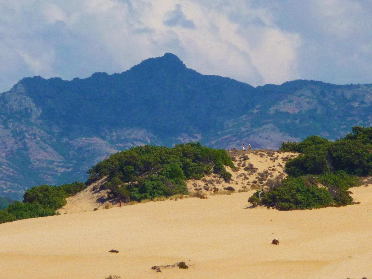 Agriturismo Satanca อาร์บุส ภายนอก รูปภาพ