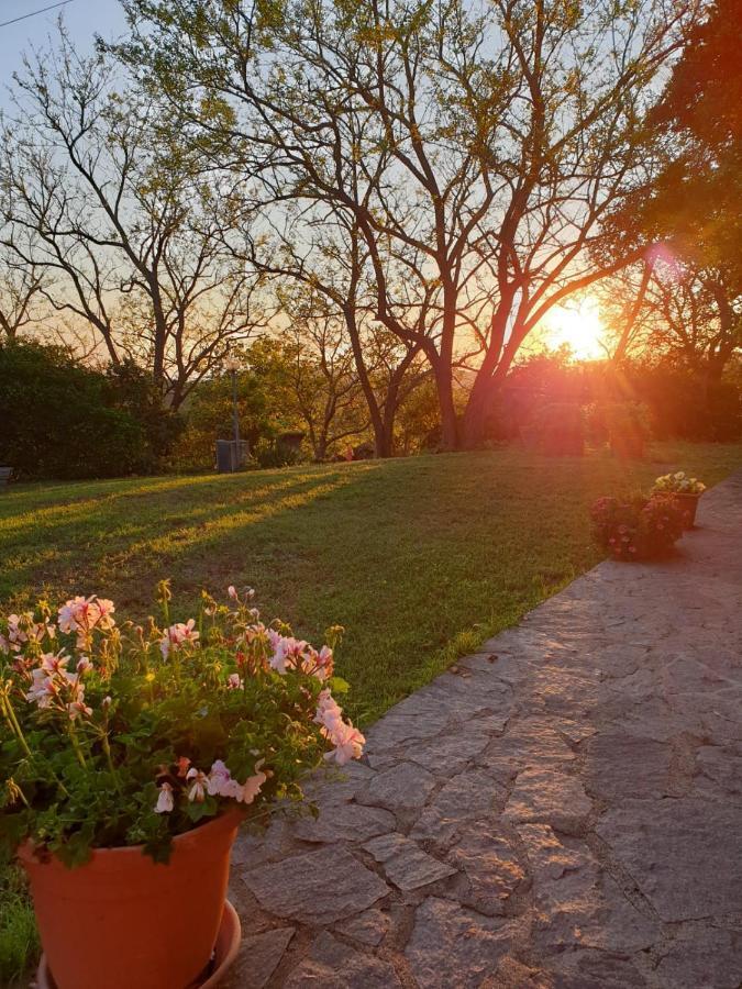 Agriturismo Satanca อาร์บุส ภายนอก รูปภาพ